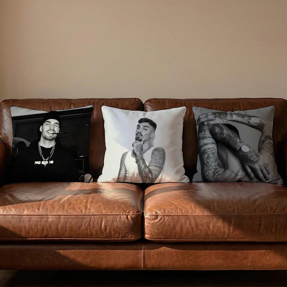 Rels B Skinny Flakk Cushion Cover Soft Reversible Durable Pillow Cover MultiScene Use for Home Car Daily Comfort