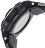 Casio Pro Trek Black Watch PRG-250-1