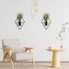 2pack Geometric Wall Mounted Plant Stylish Round Metal Hanging Planter for Modern Home Decoration