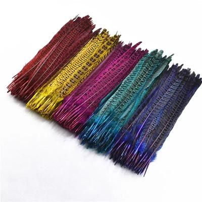10 Stück/Lot Weibliche Fasanenschwanzfedern zur Dekoration 25-30CM/10-12" Natürliche Fasanenfederdeko Handwerk Karnevalsfedern DIY