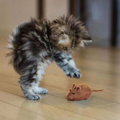 Squeaky Squeaker Sound Chew Toy False Mouse Rat for Pet Cat Kitten Dog Puppy Playing