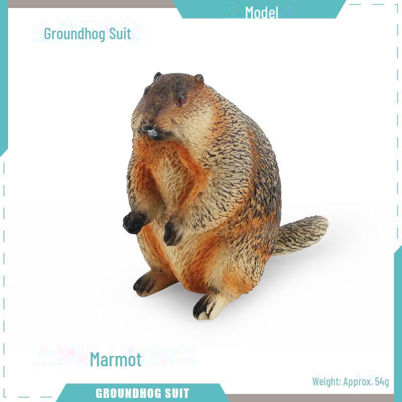 

Модели диких животных: Лесные украшения ручной работы в виде сурка, белки и бурундука