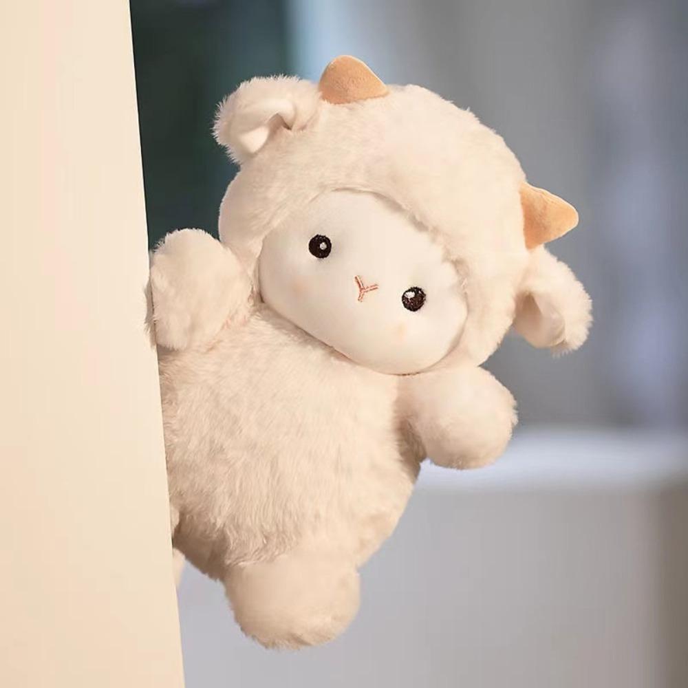 Plush toy new eight-inch grab doll 25cm doll wedding throwing doll birthday gift rag doll