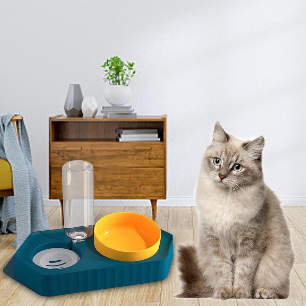 Dog Bowls Drink Fountain Cat Food Dishes Pet Feeding Station Detachable Non Slip Automatic