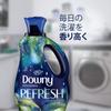 Downy Infusion Fabric Refreshing Birch Water Botanical Scent of Birch Water with Botanical Softener, & (1.66L) [Large Capacity] [Officially Imported]