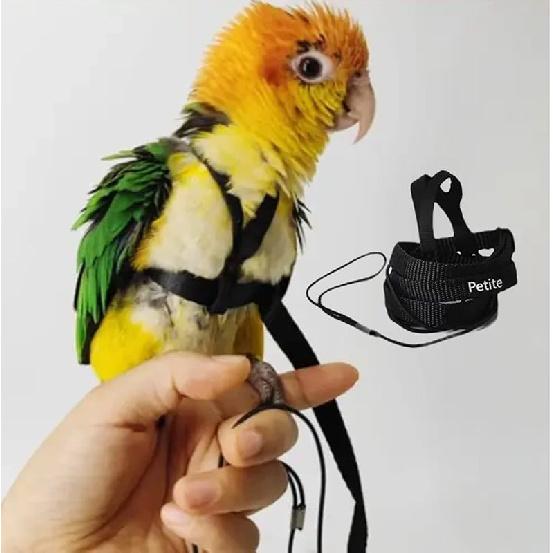 Adjustable Bird Harness with 78.7 Inch Leash, Outdoor Flying Training Rope Kit for Bird Parrots, Parrot Flying Rope Straps Outdoor Training Traction