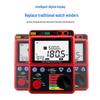 Sima AR3125 Digital High Voltage Insulation Tester (CN Version)