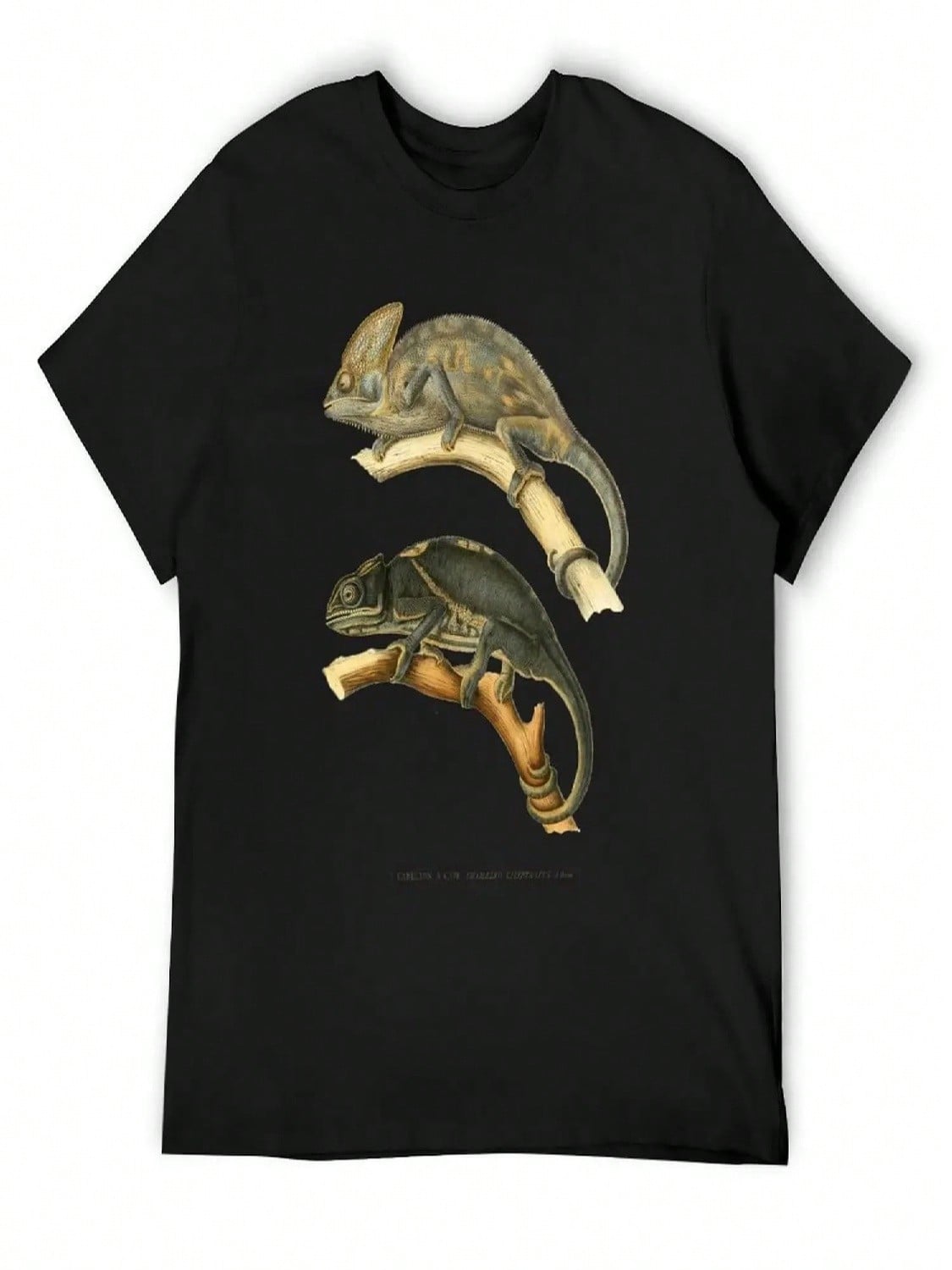 Chameleon Scientific Illustration T-Shirt Anime Clothes Summer Shirt Funny T-Shirts Men T Shirts S разноцветный
