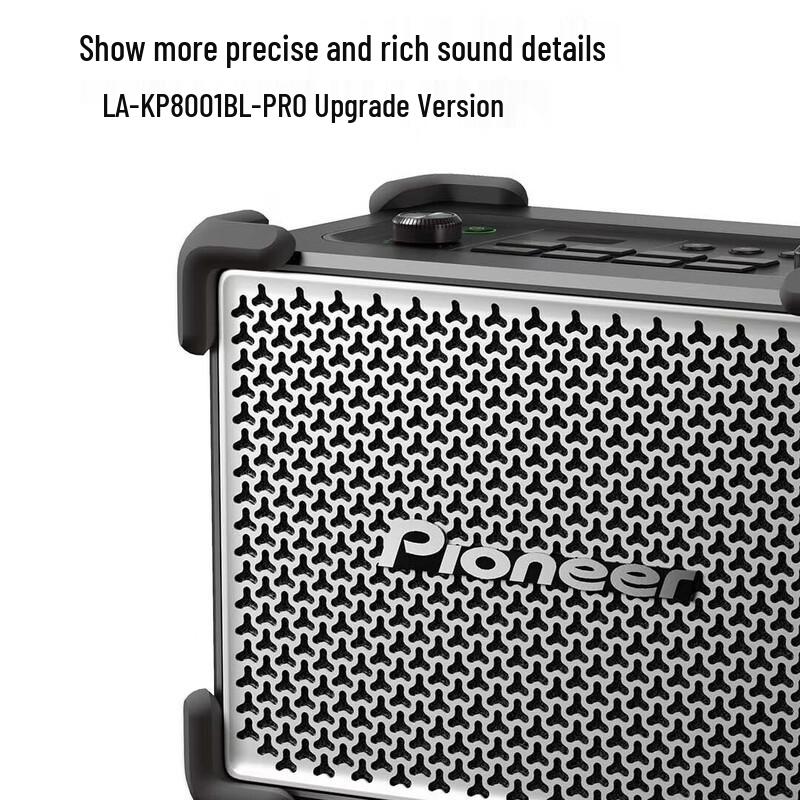 Pioneer K8001 Flagship Bluetooth Karaoke & Instrument Speaker System (CN Version)