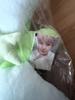 NCT (Poca) Wish Wish Cushion Yushi (Unopened)