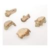Marui Pottery Shigaraki Ware Hechimon Chopstick Rest Set (5 Pieces) - Five Types of Fish: Pufferfish, Ocean Sunfish, Mudskipper, Catfish, Flounder