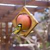 Parrot Toy Bird Fruit Fork Wooden Bird Feeder Fruit Basket Swing Stand