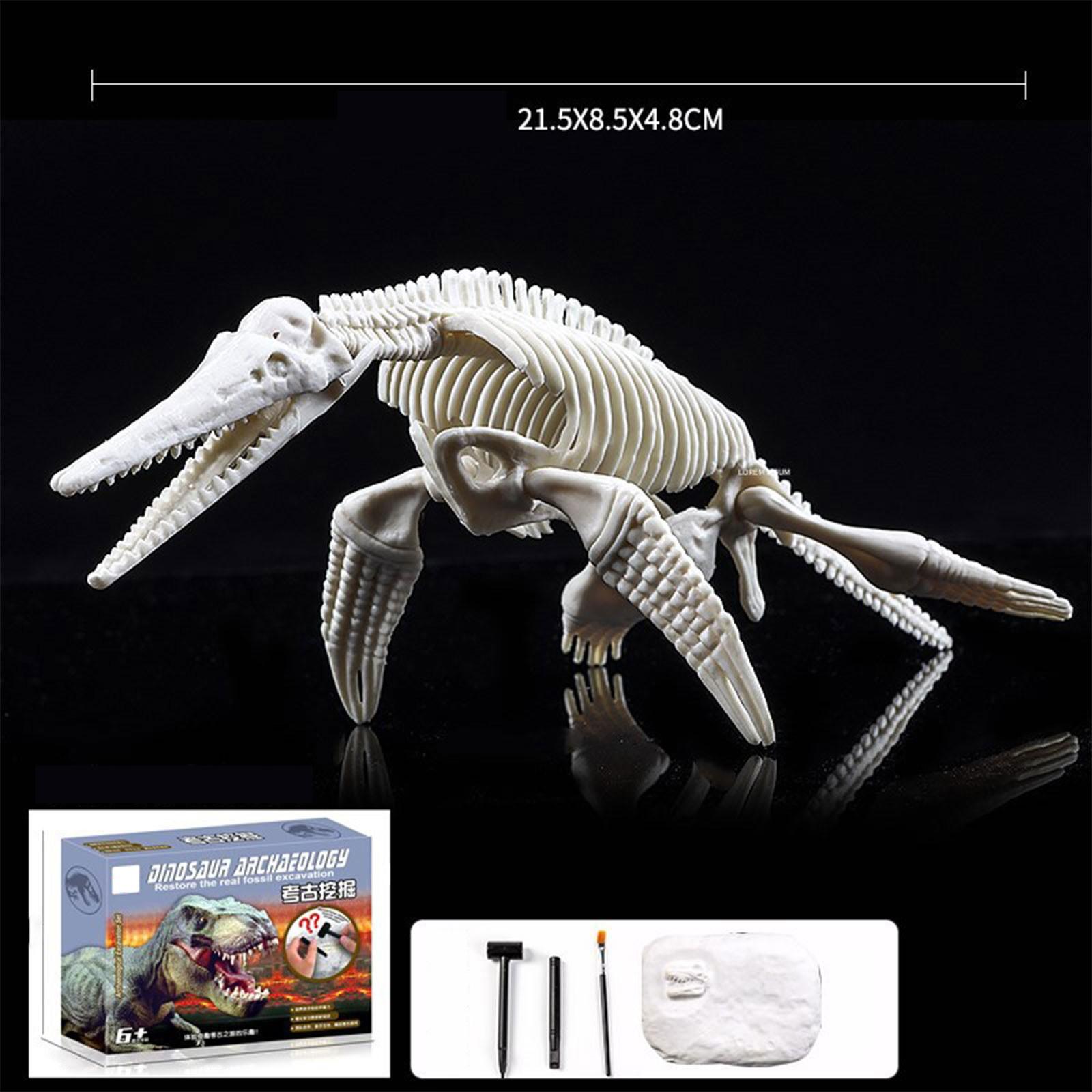 

Набор для раскопок динозавров | Креативный набор для раскопок динозавров, набор для раскопок, подарок для мальчиков и девочек One Size