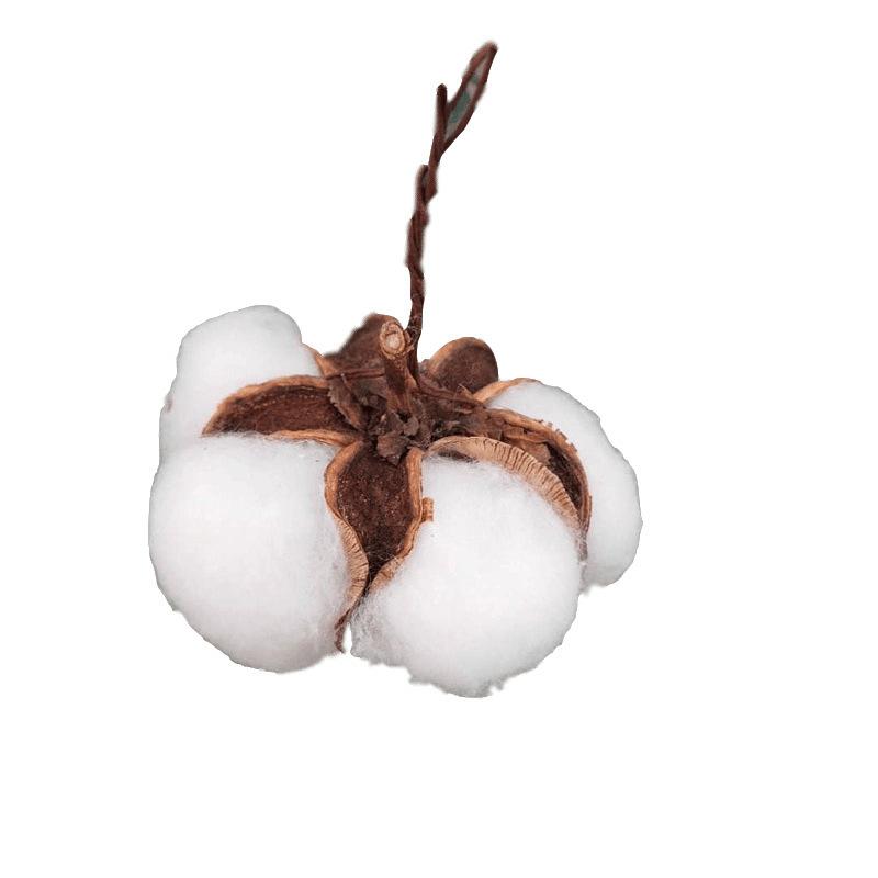 

Натуральные бессмертные хлопковые сухоцветы, одиночные искусственные цветы, хлопковая головка, реквизит для съемки, цветочные композиции, аксессуары, художественное оформление