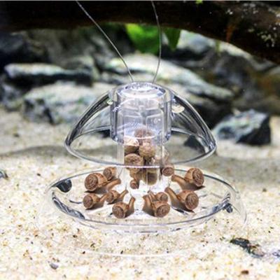 Klare Schneckentankpflanzen Planarienfalle Aquarium Fisch Blutegel Fangumgebung