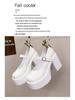 2023 Women's Retro Mary Jane Chunky Heel Leather Shoes - Height Boosting French Fashion