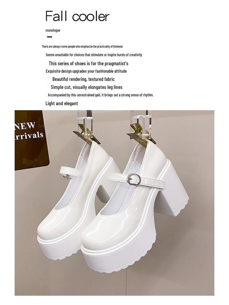 2023 Women's Retro Mary Jane Chunky Heel Leather Shoes - Height Boosting French Fashion