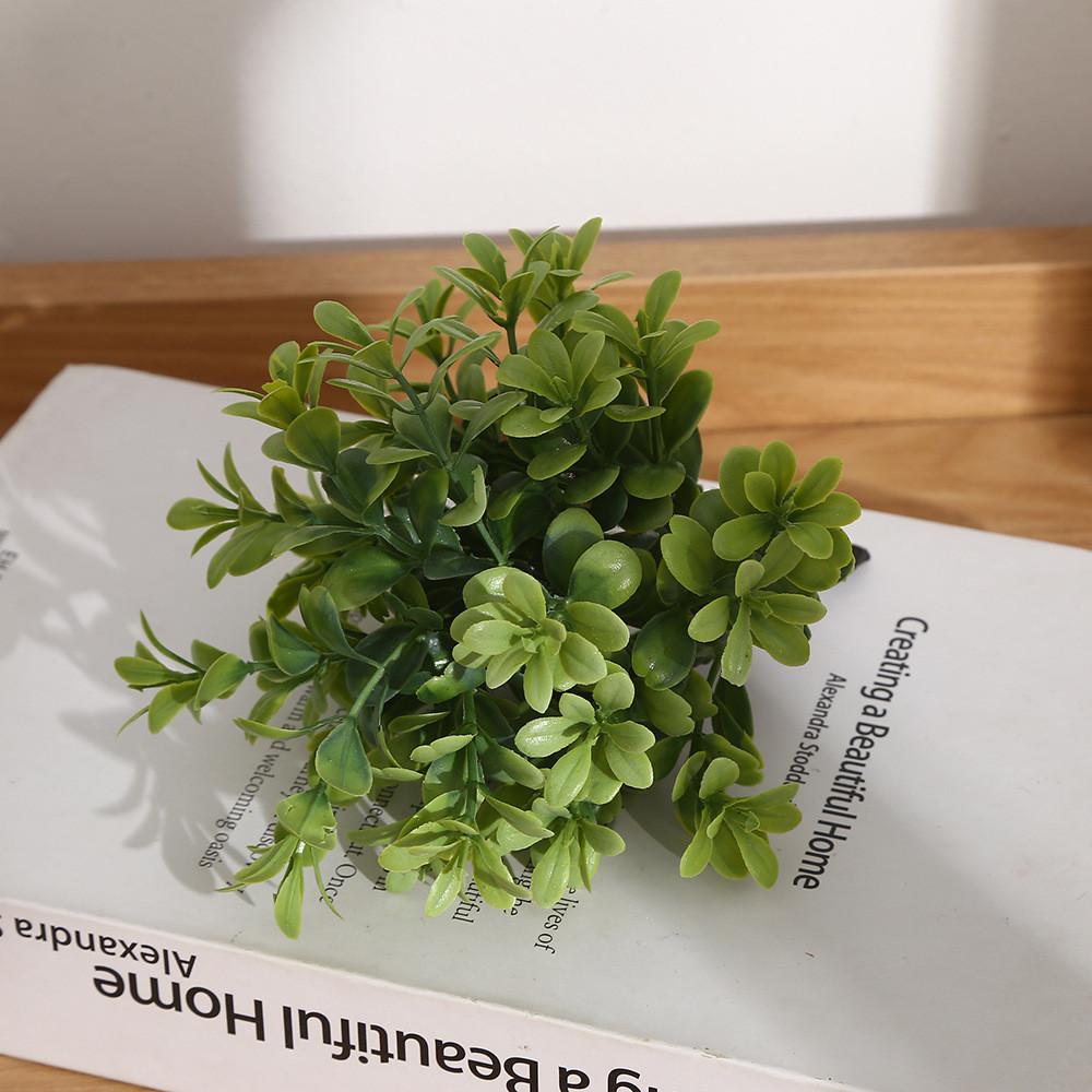 Eucalyptus Potted Greenery Plant For Indoor Living Styling Room