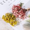Wedding Decor Photo Props Real Flower Mini Babysbreath Natural Dried Bouquets Plant Stems