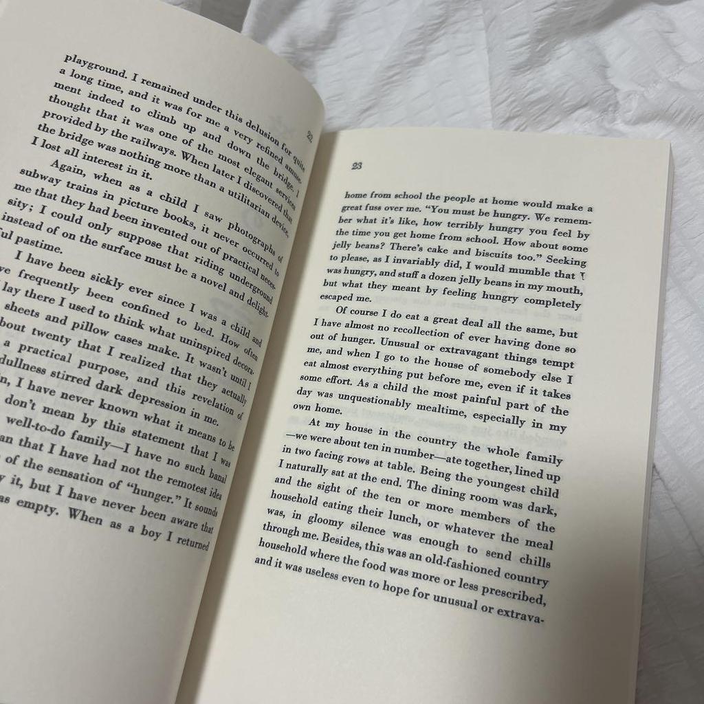 [USED] No Longer Human by Osamu Dazai (Foreign Books)