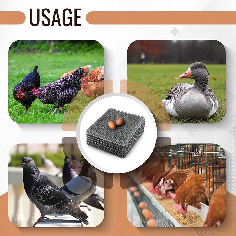 Chicken Nesting Box Pads (6 PACK) | Washable Plastic Nesting Box Liners | Chicken Bedding, Nesting Pads, Chicken Laying Boxes