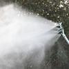 G1/4 Female Misting Nozzle Stainless Steel Round Sprinkler Nozzle Silver 5 Head Garden Sprinkler Nozzle Garden Irrigation