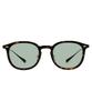 Sunglasses UNITED Colored thick UV [Zoff] Wellington-style (Brown (Demi Pattern) - ZN261G06_49A1) ARROWS. lenses, frame, stylish, protection, unisex,