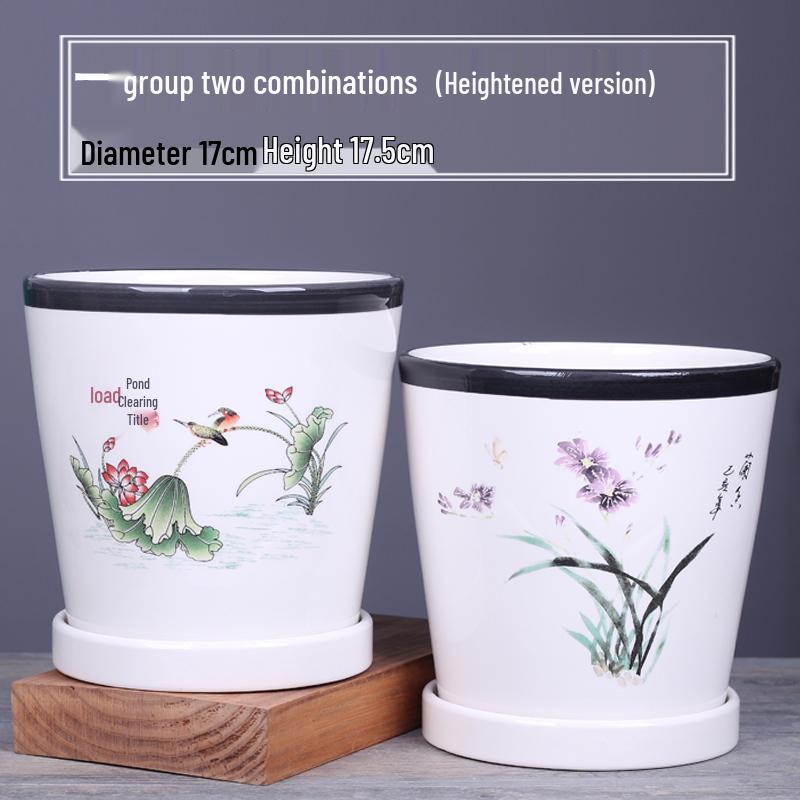 2025 Large Ceramic Flower Pot with Tray for Balcony & Living Room - Orchid & Succulent Album Style