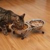 Iron Frame Stainless Steel Pet Bowl Anti-leak Pet Drinking Bowl Cat Double Bowl  Pet Feeding