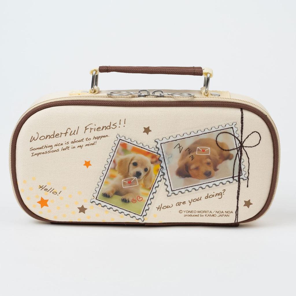 Wonderful Friends Sewing Elementary Elementary School Cute Sewing Kit Kit, Right-Handed, School, Girls,