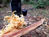 Torch Pine Resin Strips: Outdoor Survival Fire Starter Kit