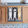 ABHS-Funny Cat Hand Towels, Kitchen And Bathroom Hand Towels, Quick-Drying Soft Absorbent Microfiber Towels