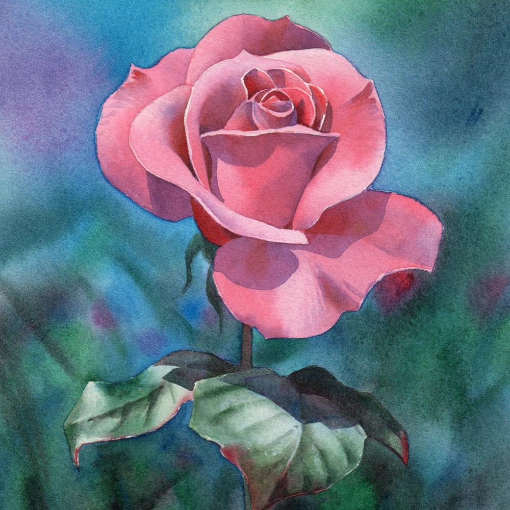 5D DIY Diamond painting Romantic flowers full diamond square/round diamond embroidery cross-stitch set home wall decorative art