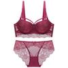 European & American Sexy Lace Push-up Bra Set for Women & Girls, Style 1824
