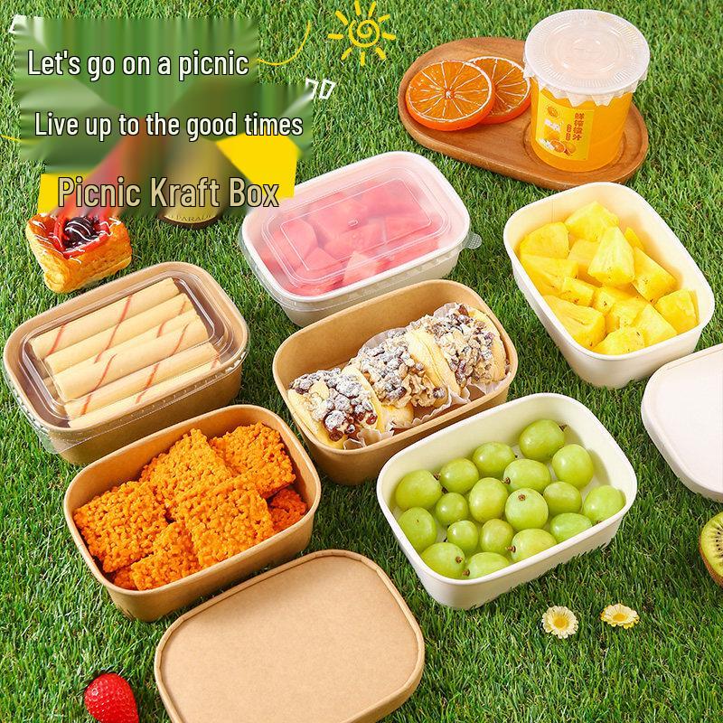 Disposable Outdoor Picnic Box