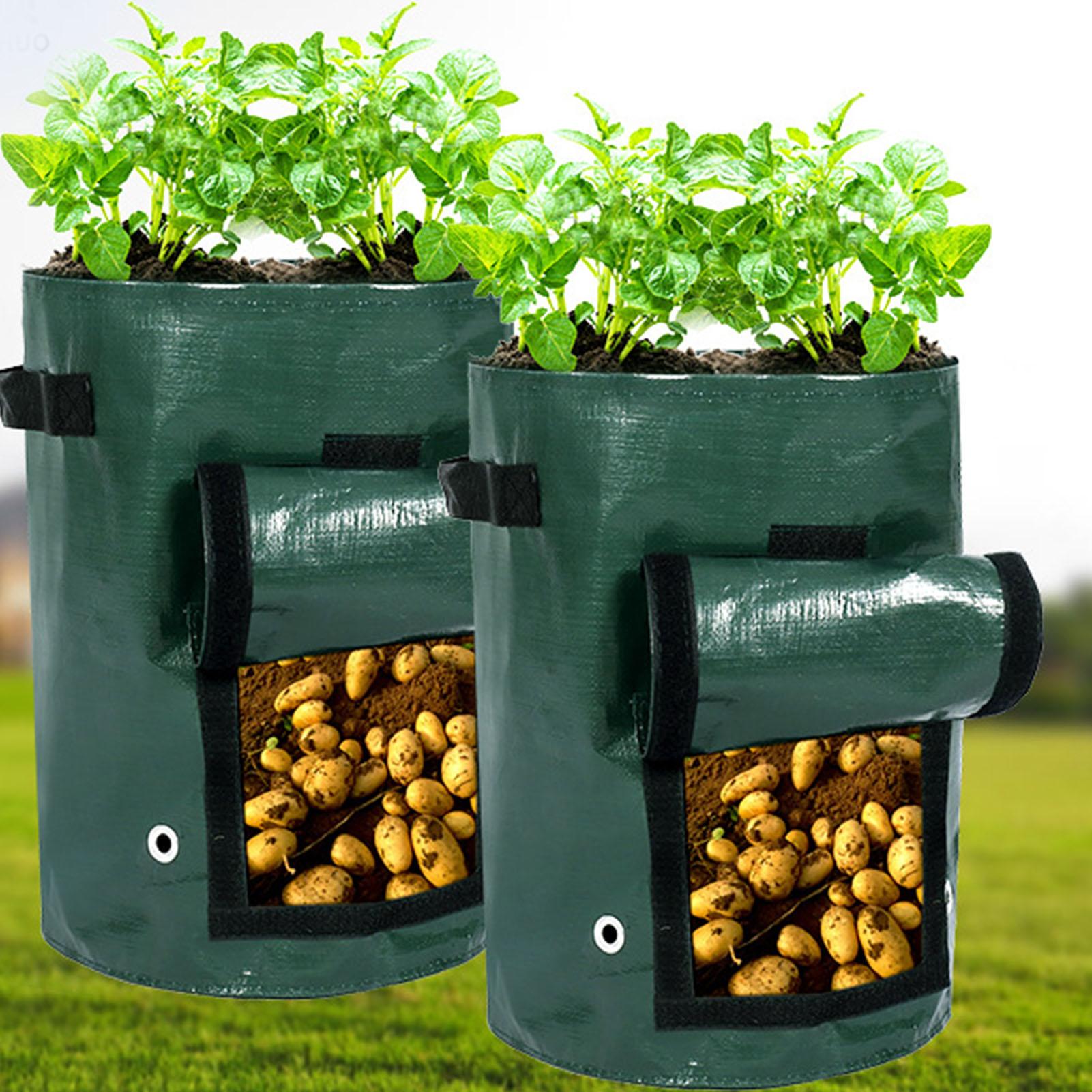 

Potato Grow Bag Thickened PE with Visible Window Double Handles Garden Planting Bag for Vegetables Carrots Green 35x45 35x45
