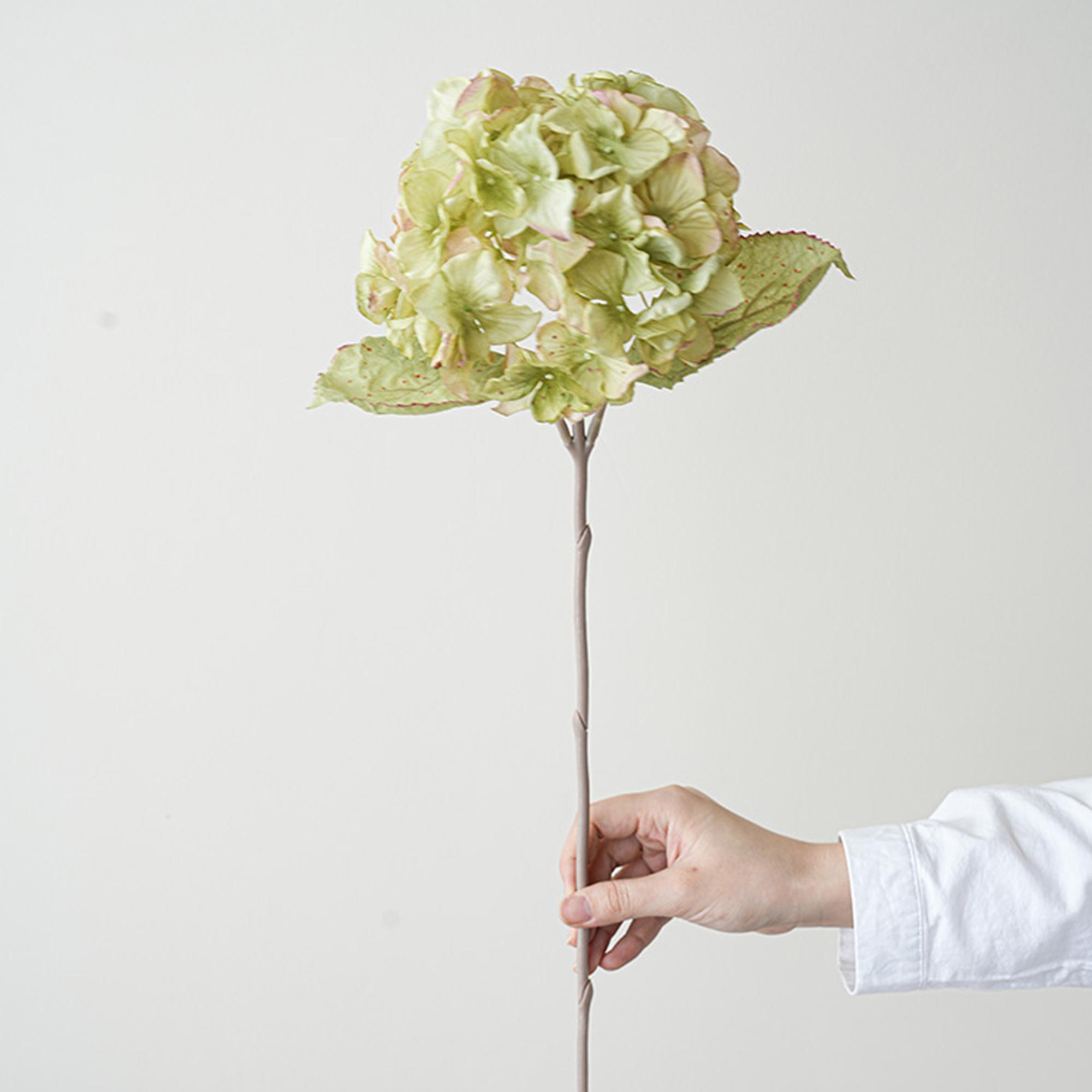 

Сушеные искусственные гортензии для осеннего домашнего декора Сушеные цветы Искусственные гортензии Осенняя композиция из искусственных цветов зелёный