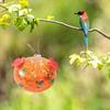 Stained Glass Hummingbird Feeder Droplet Shaped Hanging Birds Feeder Hummingbird Feeder with 2 Flower Feeding Ports for Outside Garden Courtyard