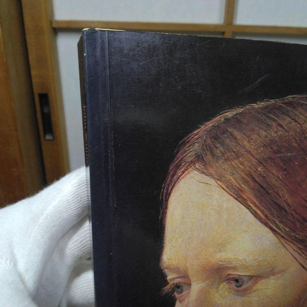 [USED] Andrew Wyeth The Helga Pictures English Book Art Collection