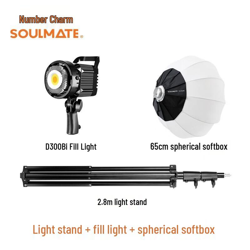SOULMATE D300Bi LED Continuous Light Kit for Live Stream & Photography