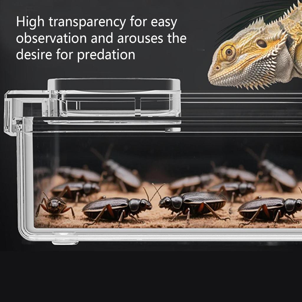 Reptilien Futternapf Ausbruchsicher Futterteller für Kronengecko Kleintier Futterspender für Spinne Eidechse Schildkröte Käfig Terrarium Chamäleon