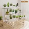 Hualong Shield Multi-Tier Carbon Steel Staircase Plant Stand