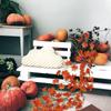 175cm Long Simulated Maple Leaf Halloween Themed Home Garden Venue Layout Rattan Party Decoration