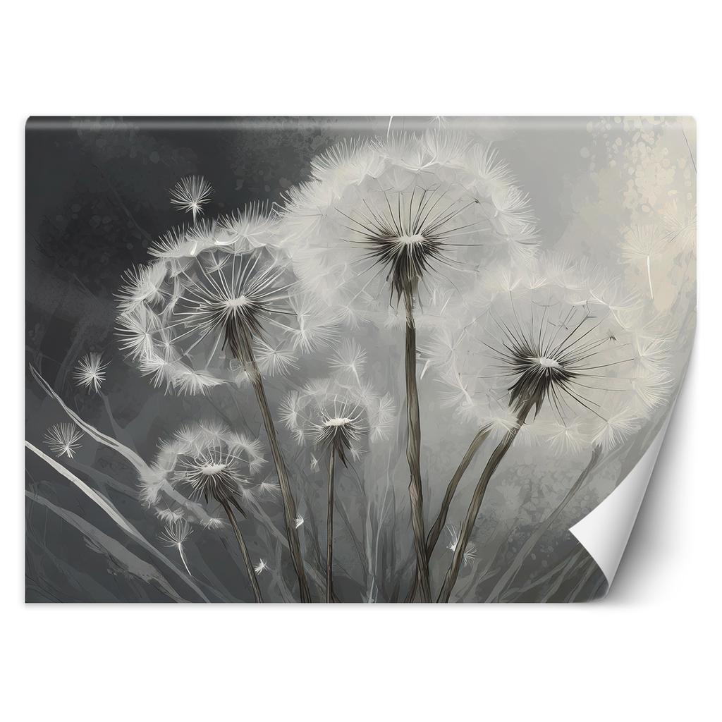 Wallpaper Close-up On Inflatables