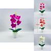 Silk Phalaenopsis Aphrodite Plant With Realistic 3d Printing For Living Room Decoration