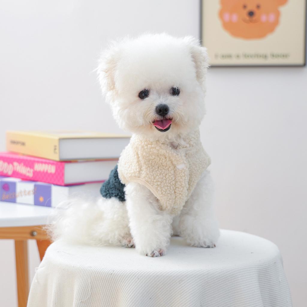 Pet clothes autumn and winter new small dogs puppies happy dogs and cats warm and comfortable walking little pioneer vest