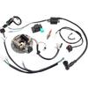 CDI Ignition Coil A7TC Spark Plug Kill Switch Wire Harness Magneto Switch Keys Lock Set For 50 70 110 125 140cc 4T Dirt Bikes