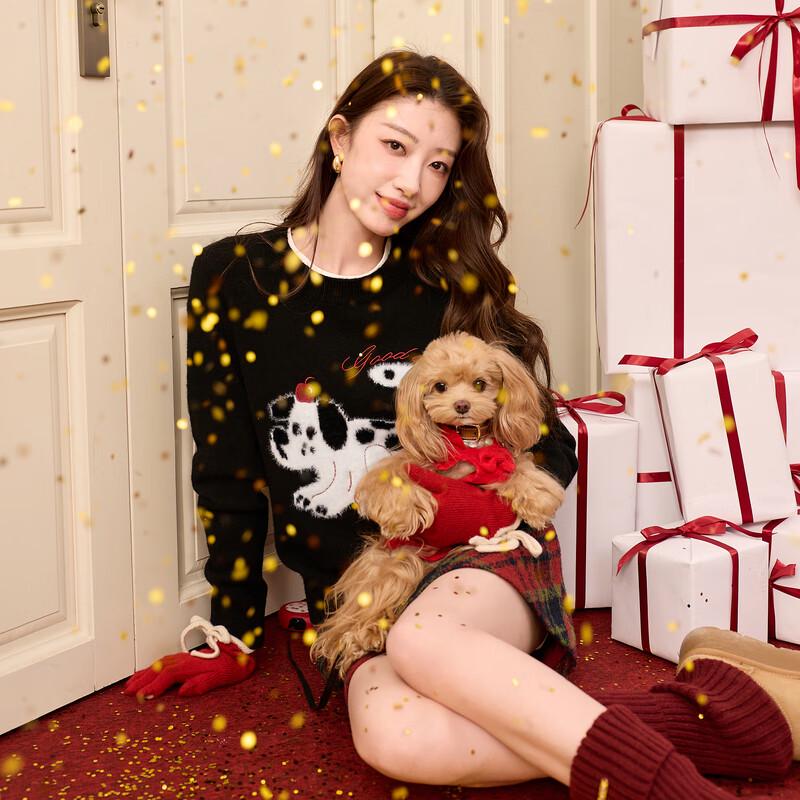 

Sancai Women s Plus Size Embroidered Loose-Fit Knit Sweater L