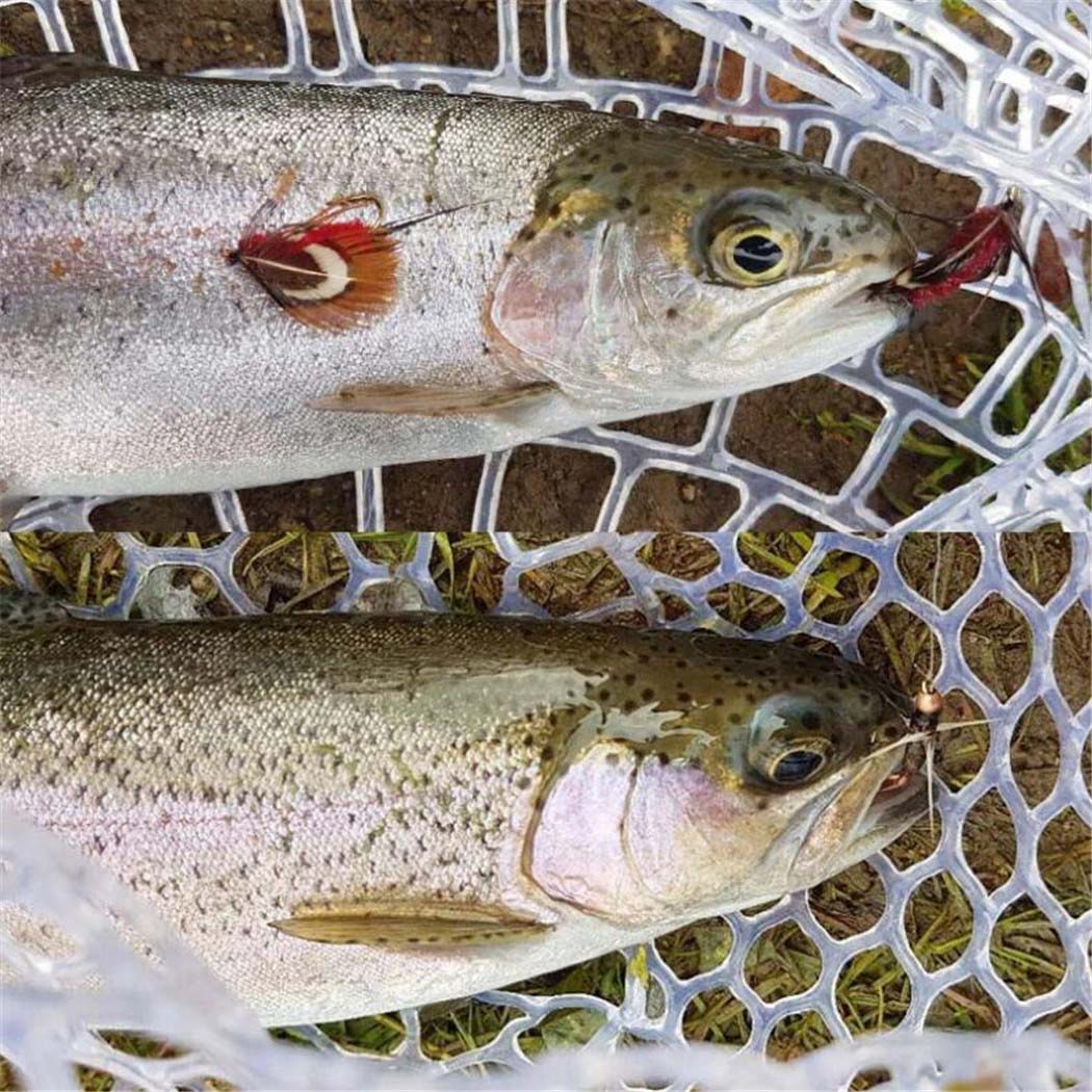 6/12/24 шт./кор. — фото 15