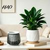 Small Flower Pot for Desk Self Watering Planter with Wick Rope Indoor Plants, Double Layer Modern Decorative Container Transparent Hydroponic Planter,